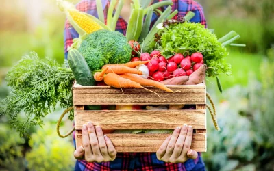 Eat Your Vegetables: Why You Need Company Playbooks, Hiring Plans, And Requisition Processes