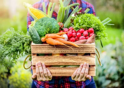 Eat Your Vegetables: Why You Need Company Playbooks, Hiring Plans, And Requisition Processes